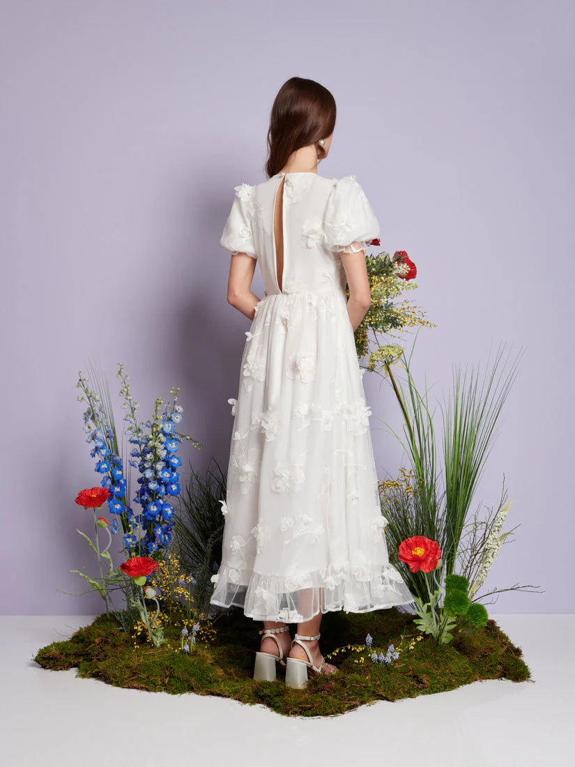 Jasmine Embroidered maxi haljina
